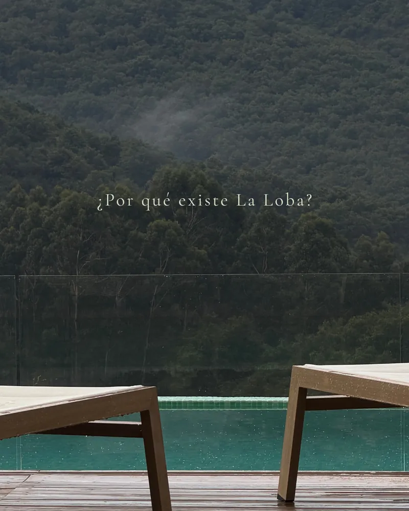 ¿Por qué existe La Loba?, sobre la piscina y el monte con niebla.