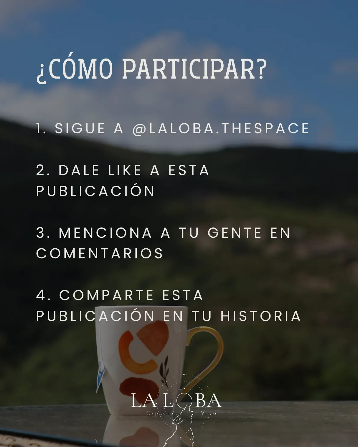 Pieza del sorteo con los pasos para participar.