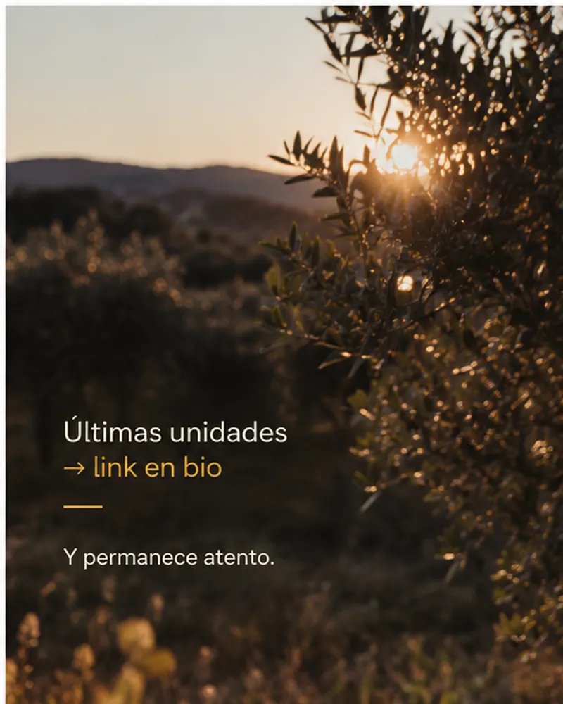 Últimas unidades, link en bio, sobre el olivar al atardecer.