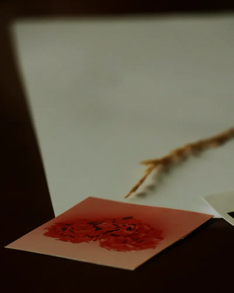 Lámina con una flor roja seca sobre la mesa de trabajo.